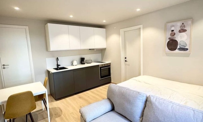 Bislett Apartamento | Bright & Cozy Studio - Central Location
