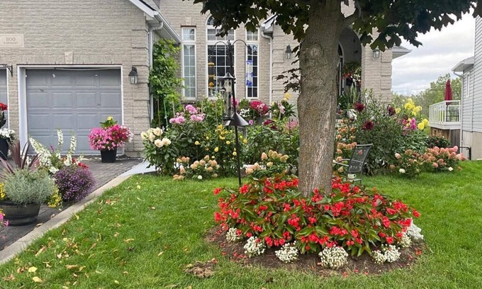 Amherstview Casa | Bright, spacious and walkout basement unit. LCRL20230000513