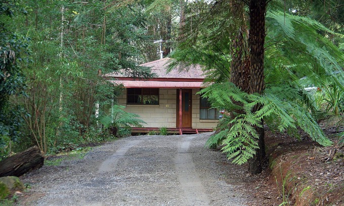 Mount Dandenong Cabina | Brook Cottage: Private rainforest with river