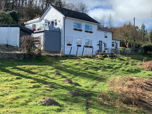 Newtown Cama Y Desayuno | Broombush B & B & Yr Nyth Shepherds Hut