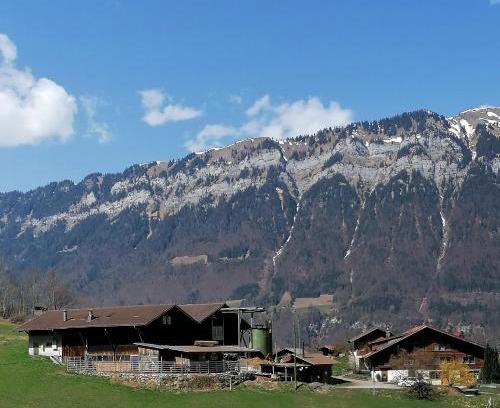 Iseltwald Apartamento | Brunners harzerhof