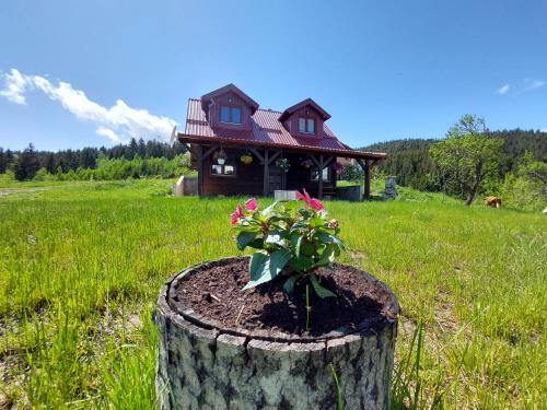 Zlatibor Chalet De Esquí | Brvnara Rajkova koliba - STD Bojovići Zlatar