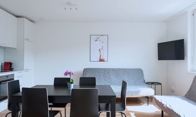 Basel City Centre Apartamento | BS Wolf IV - Messe HITrental Apartment