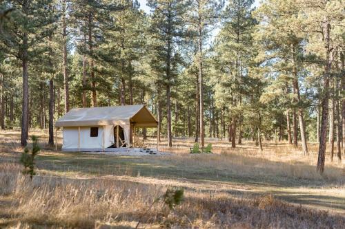 Custer Casa | Buffalo Canvas Tent