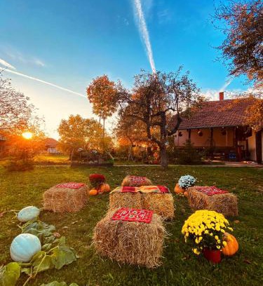 Mladenovac Casa | Bukovički mir