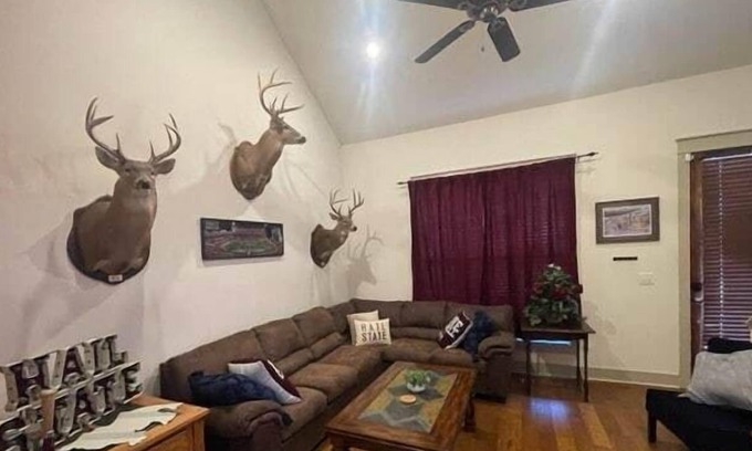 Starkville Casa | Bulldog Creekside Cottage