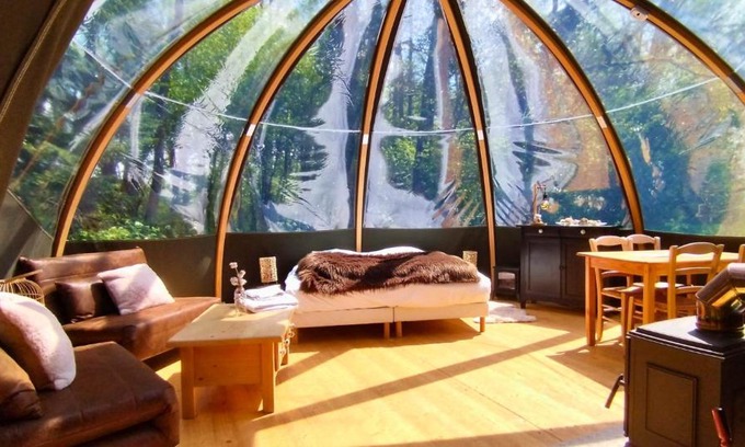 Magnieres Cabina | Bulle forestière - Etat Nature