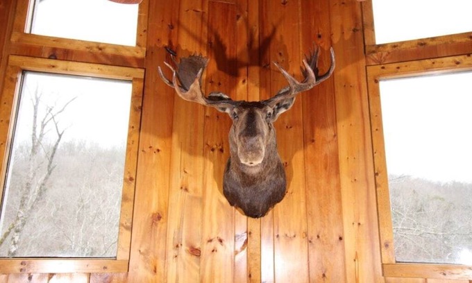 Flat Hollow Marina Casa | Bullwinkle Inn' private dock, hot tub, quiet water
