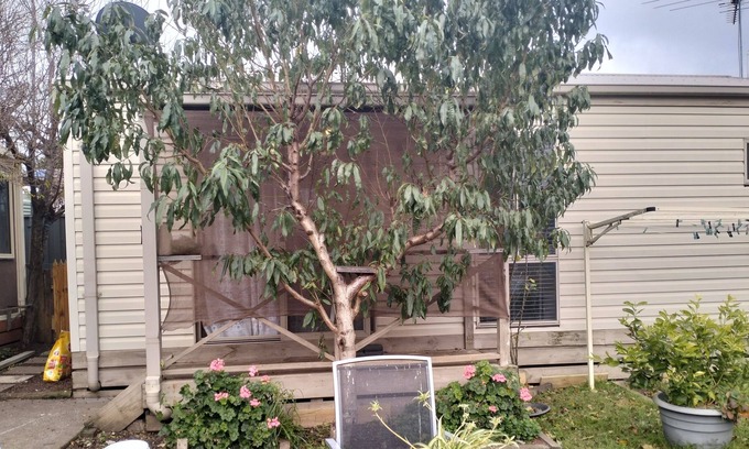 Meadow Heights Casa | Bungalow Cosystay: Cosy Little Place Overlooking the Back Yard Garden