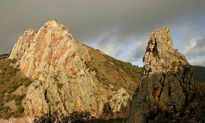 Malpartida de Plasencia Otro | Bungalows Camping Parque Nacional de Monfragüe