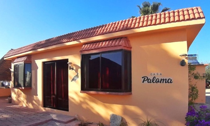 Cabo Pulmo Hotel | Bungalows Cabo Pulmo
