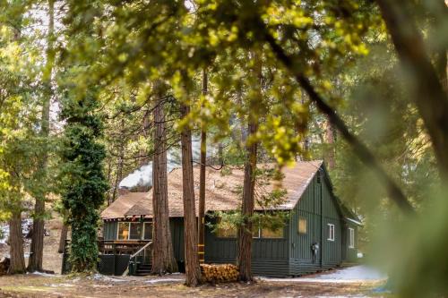 Camp Nelson Casa | BunkHouse 1960's Camp Vibe with Timeless Wet Bar