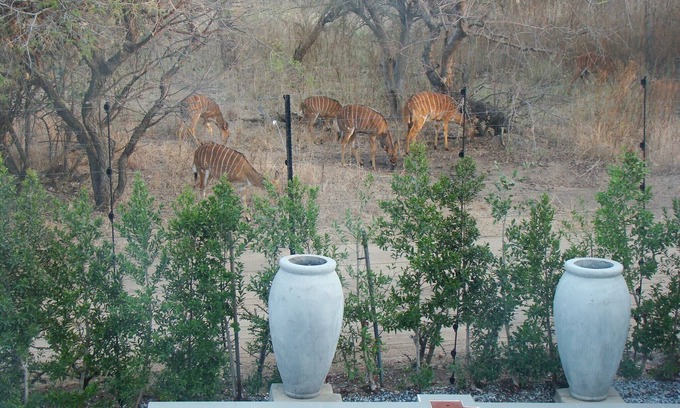 Hoedspruit Casa | BushGlam Luxury Self Catering Holiday Home, Hoedspruit, Kruger Area
