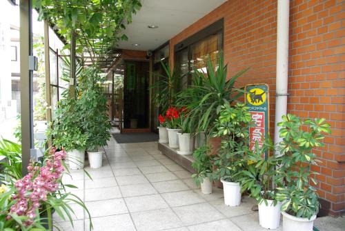 Nara Apartamento | Business Hotel Century