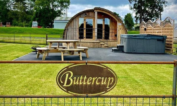 St Harmon Casa | Buttercup