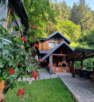 Rucar Casa | Căbănuța Cocoțată