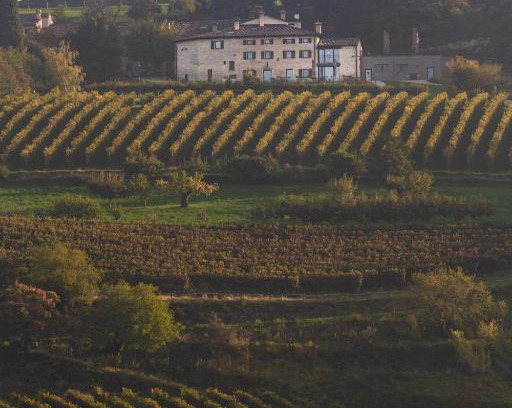 Grezzana Complejo | Ca' del Moro Wine Retreat