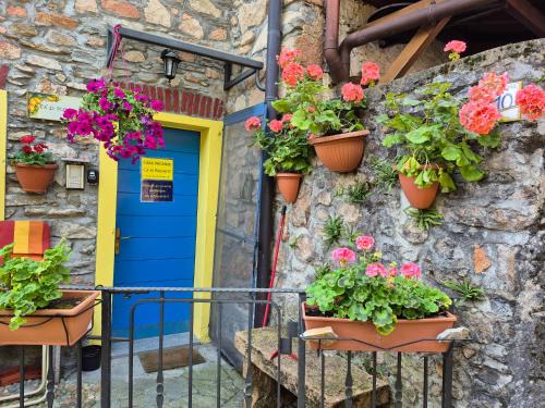 Cavagnano Apartamento | Ca' di Ruchitt