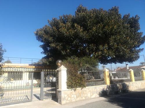 Algoda Casa | Ca Didi