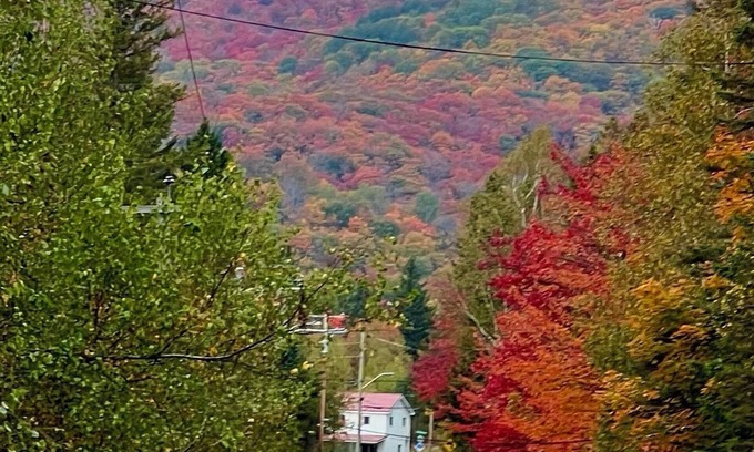 Sainte-Marguerite-du-Lac-Masson Cabina | Chalet au toit vert