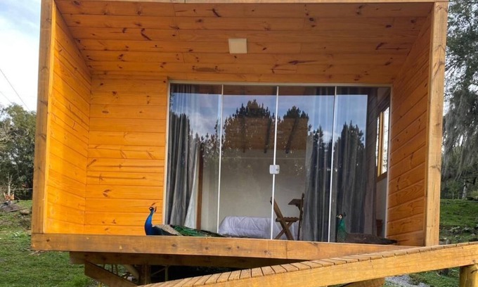 Canela Cabina | Cabana em Meio a Natureza e Cachoeiras a Poucos km de Canela