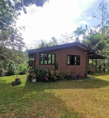 Pacuare Reserve Complejo | Cabaña AMOTO