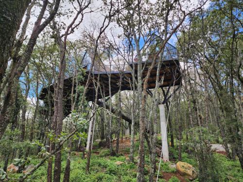 Omitlan de Juarez Chalet De Esquí | Cabaña Austral, Punta del Bosque