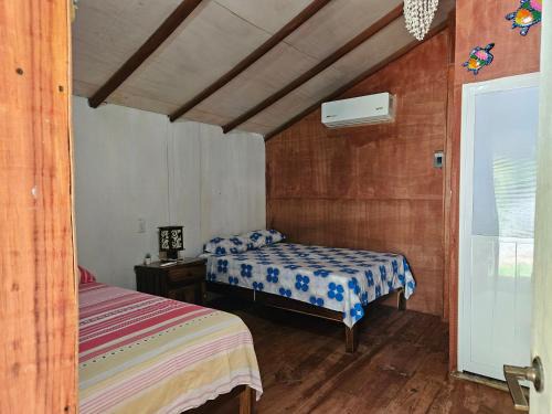 Saladita Apartamento | Cabaña Delfin