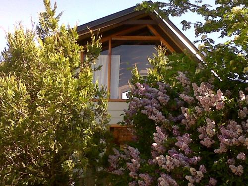 Villa Los Coihues Casa | Cabaña Entre Lagos y Montañas