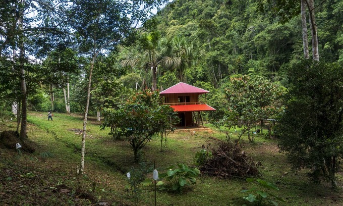 Pueblo Nuevo Cabina | Cabaña familiar en el bosque amazónico. Ideal para desconectar de la tecnología