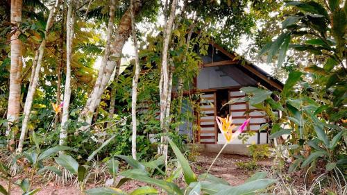 San Jose del Guaviare Casa | Cabaña Fraternidad