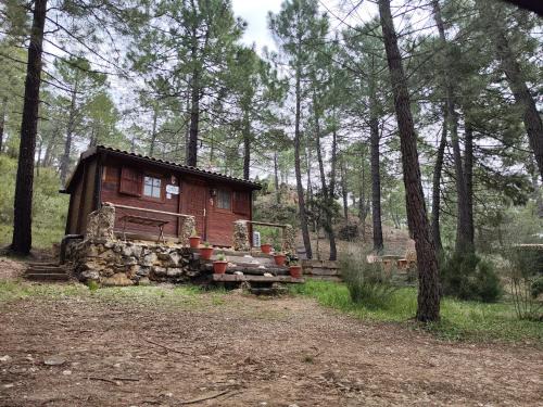 Riopar Casa | Cabaña los chorros