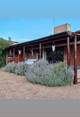Chacabuco Department Chalet De Esquí | Cabaña Los Espinillos