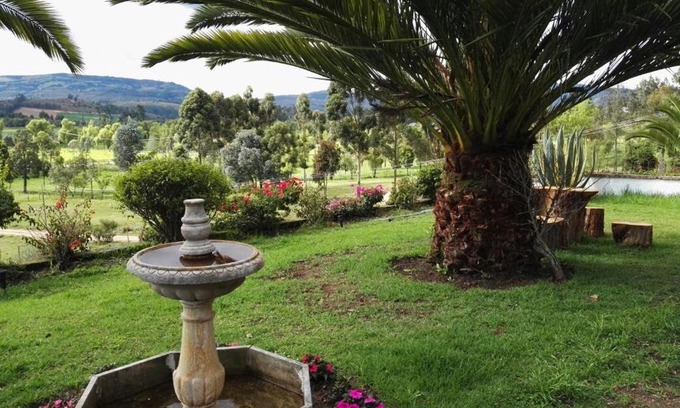 Iza Casa | Cabaña NIDO VERDE