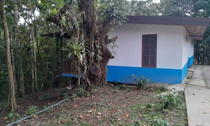 Carara Cabina | Cabaña para 4 personas| complejo turistico| fuga ecolodge | la lapa