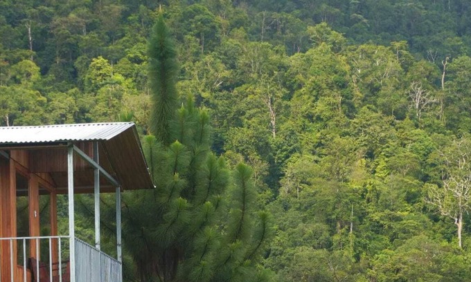 Baru Cabaña | Cabaña para dos con una increíble vista al bosque de Platanillo