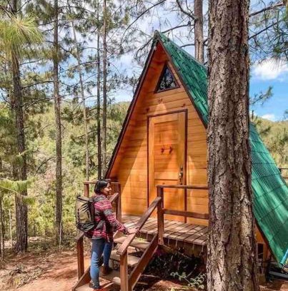 San Jose del Pacifico Chalet De Esquí | Cabaña privada en el bosque, cerca al rio Starlinkk
