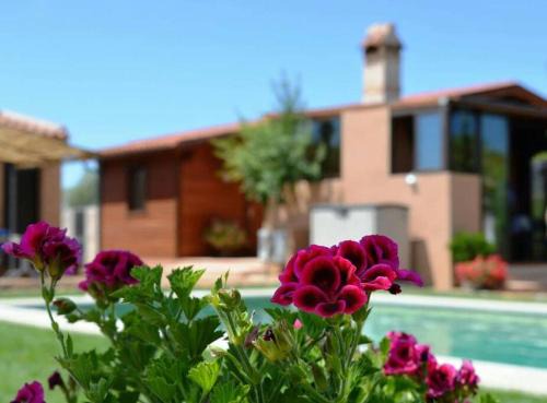 Fuente el Fresno Casa | Cabaña Rural ¨La Huerta de los Serijos¨