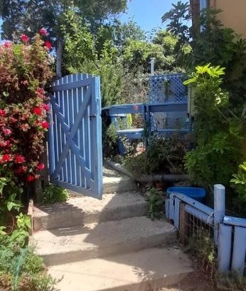 Algarrobo Cabina | Cabañas Aire Marino Algarrobo
