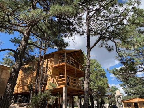 Creel Casa | Cabañas el Pino 3