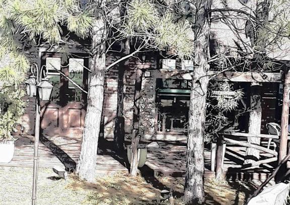 Partido de Chascomus Cabina | Cabañas Hoja de la Tierra