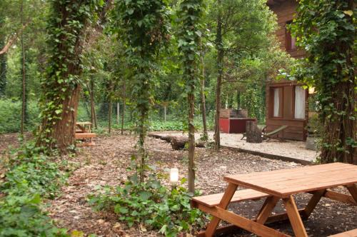 Bosque Peralta Ramos Cabina | Cabañas Las Sirenas