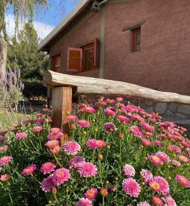 Chilecito Chalet De Esquí | cabañas las viñas