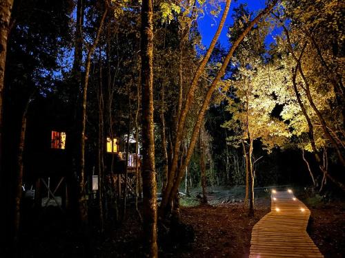 Conaripe Casa | Cabañas Los Glaciares