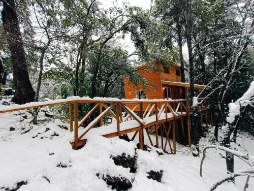 Pinto Chalet De Esquí | Cabañita Del Árbol Concón