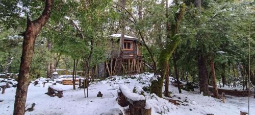 Pinto Chalet De Esquí | Cabañita Del Árbol