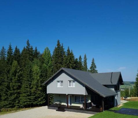 Dorna Candrenilor Casa | Cabana Brazilor