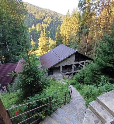 Arefu Cabina | Cabana Zimbru Transfagarasan