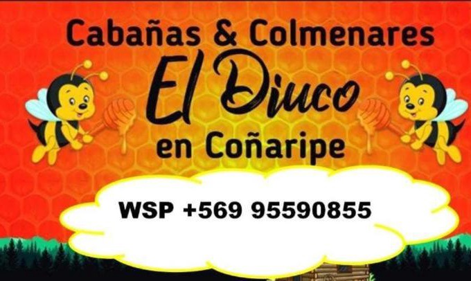 Conaripe Casa | Cabañas El Diuco en Coñaripe 3