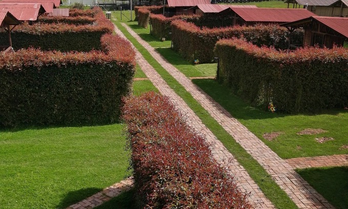 Suesca Cabina | Cabanas en Suesca Cundinamarca (pet friendly)